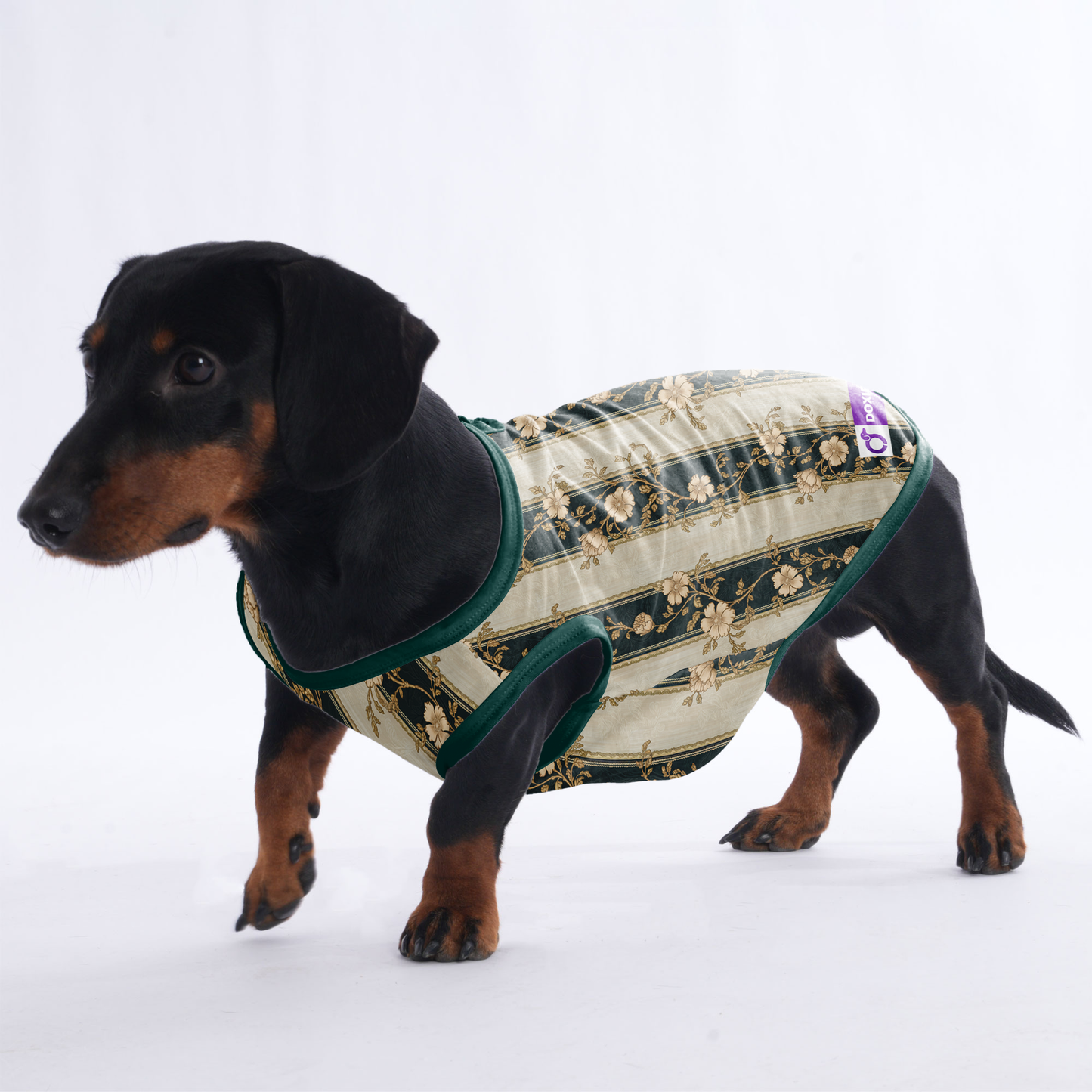 Henry - Shirt for Dachshunds
