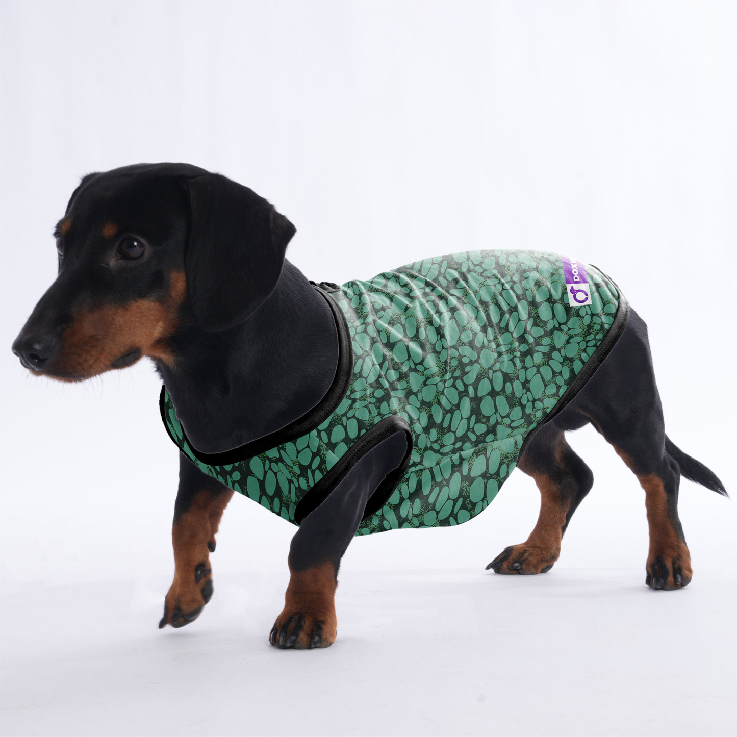 Nala - Shirt for Dachshunds