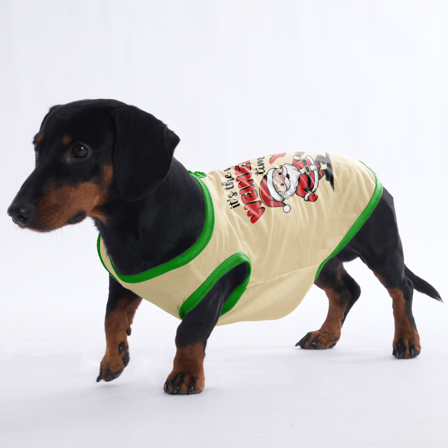 Charlie - Shirt for Dachshunds