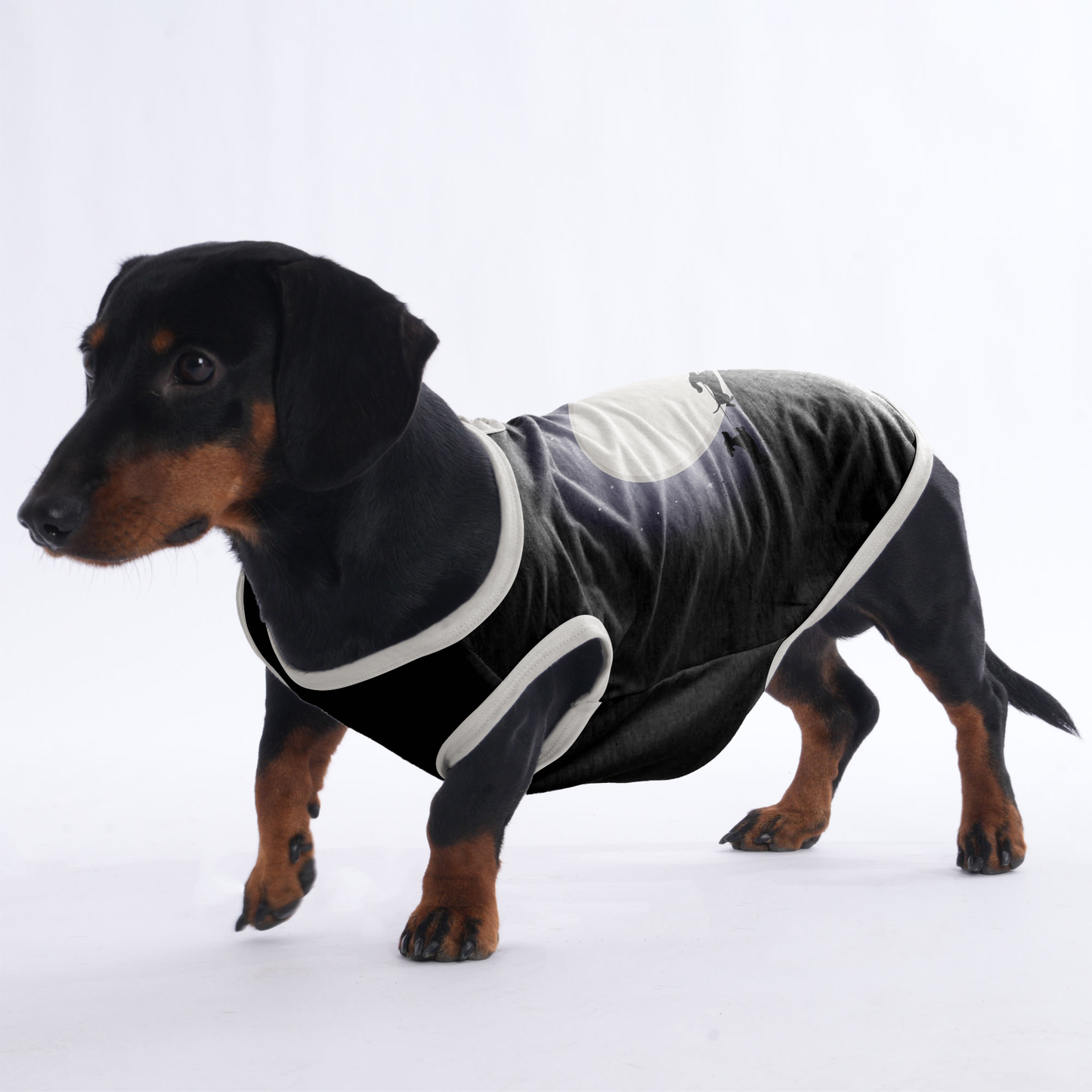 Abby - Shirt for Dachshunds