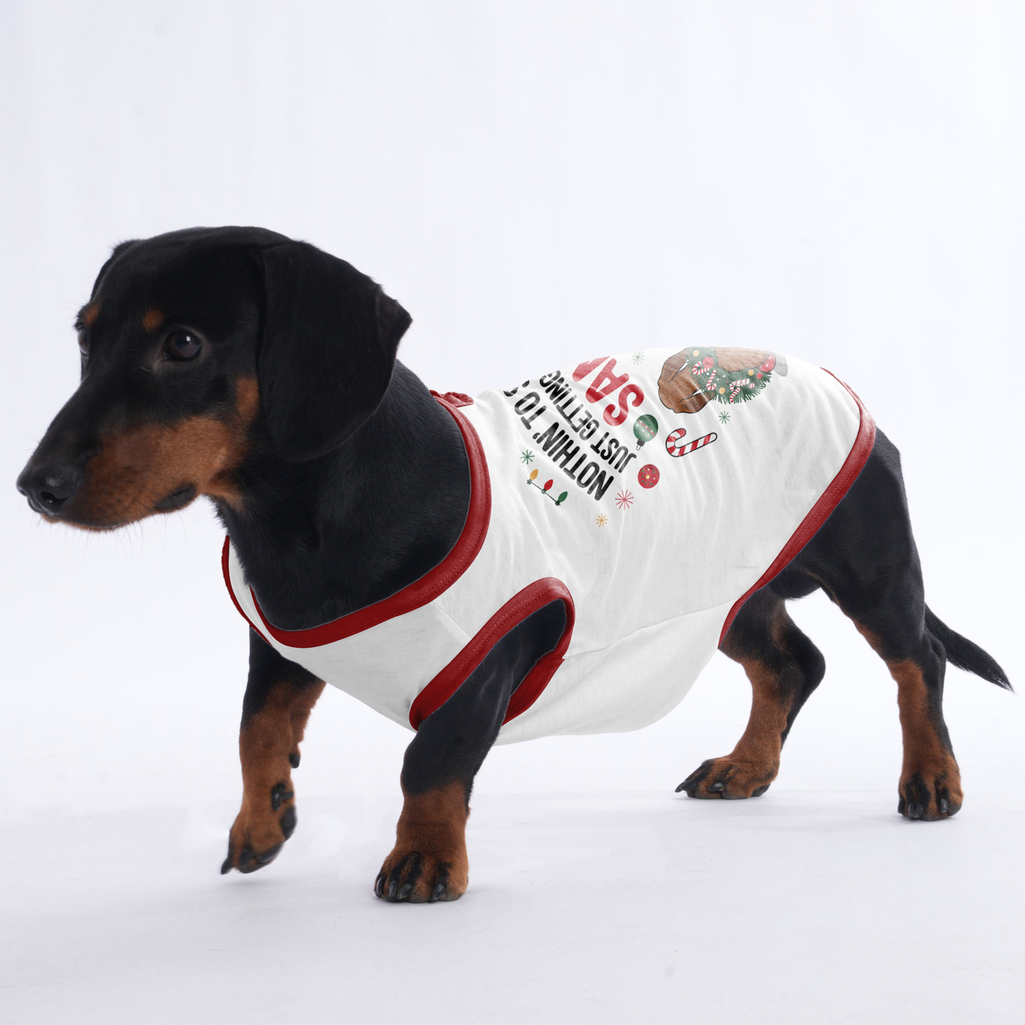 Buddy - Shirt for Dachshunds