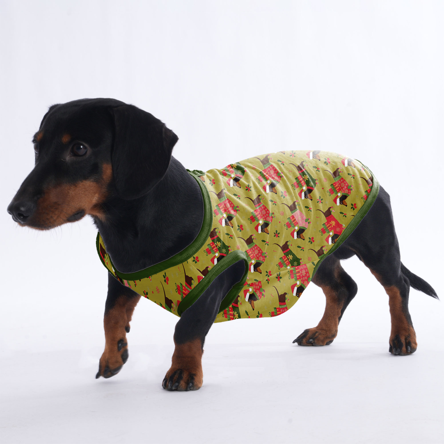 Lucy - Shirt for Dachshunds