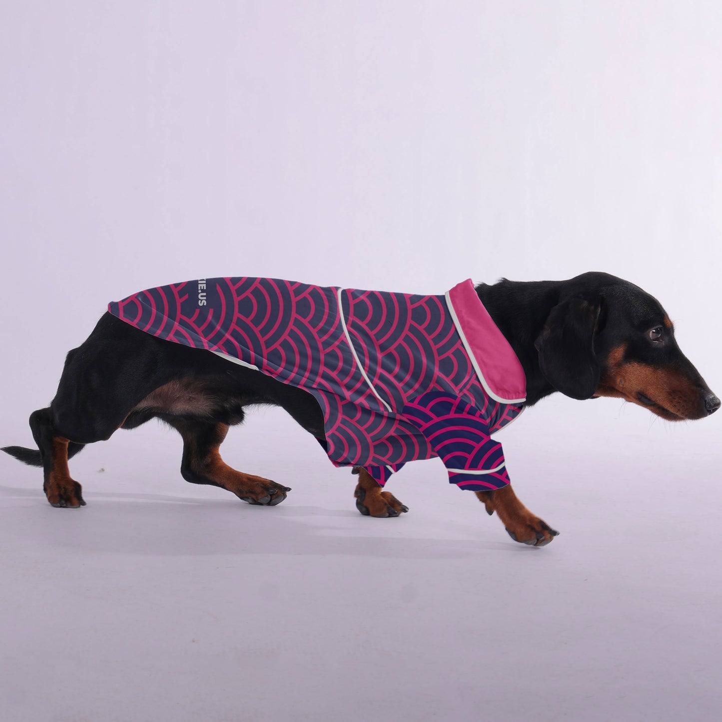 Willy - Pajamas for Dachshund
