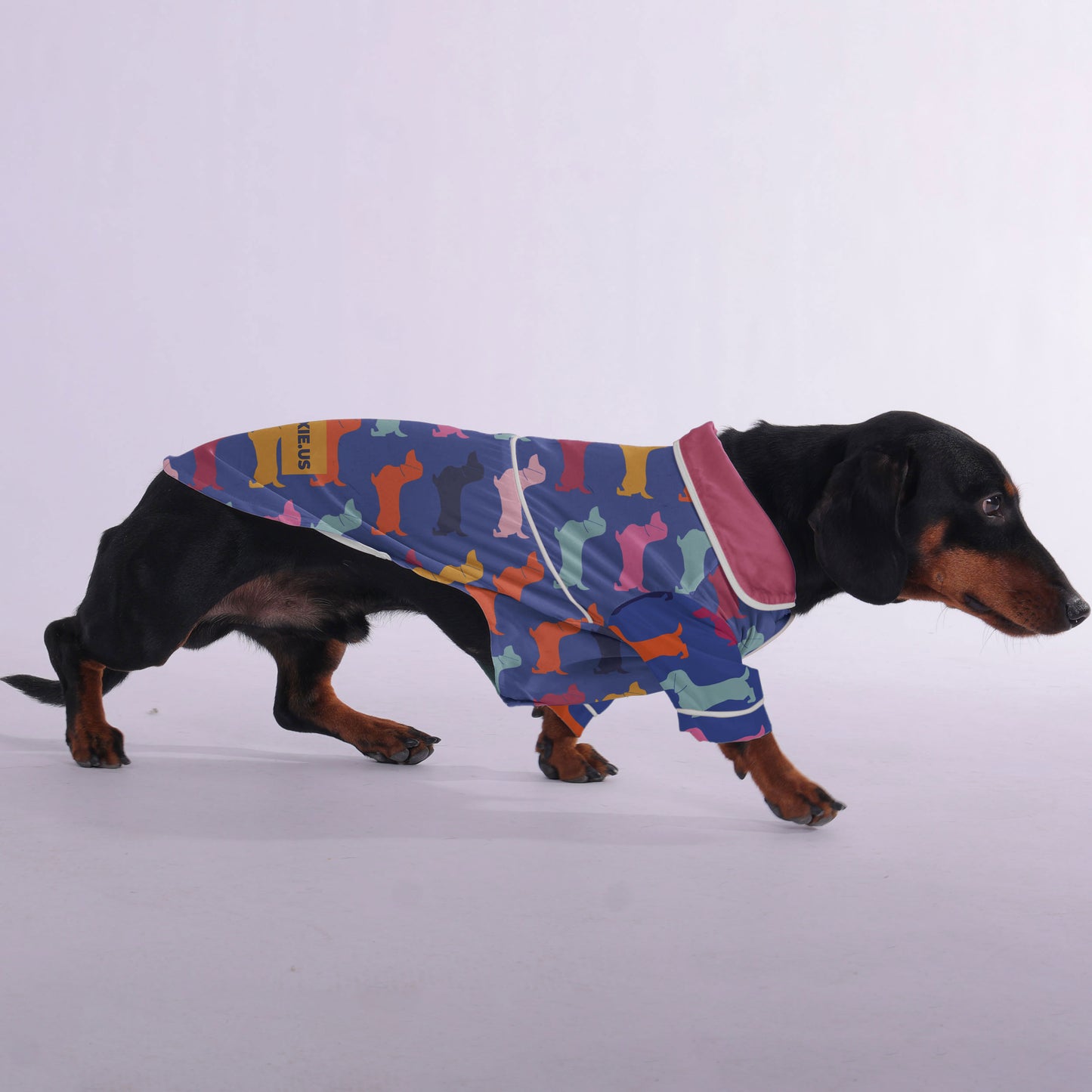 Pepper - Pajamas for Dachshund