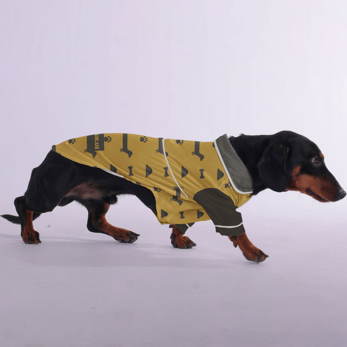 Milo - Pajamas for Dachshund