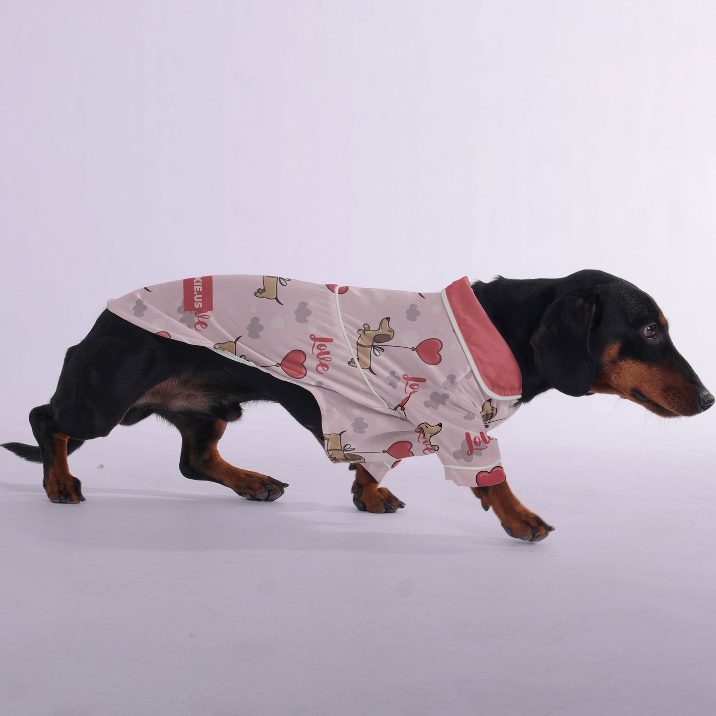 Pete - Pajamas for Dachshund