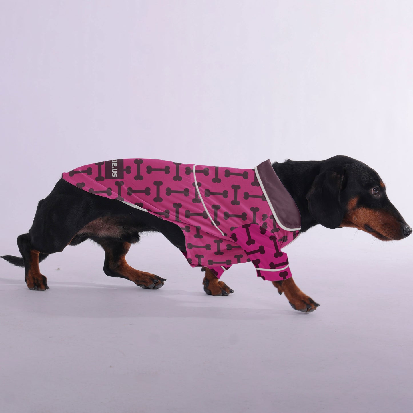 Gilbert - Pajamas for Dachshund