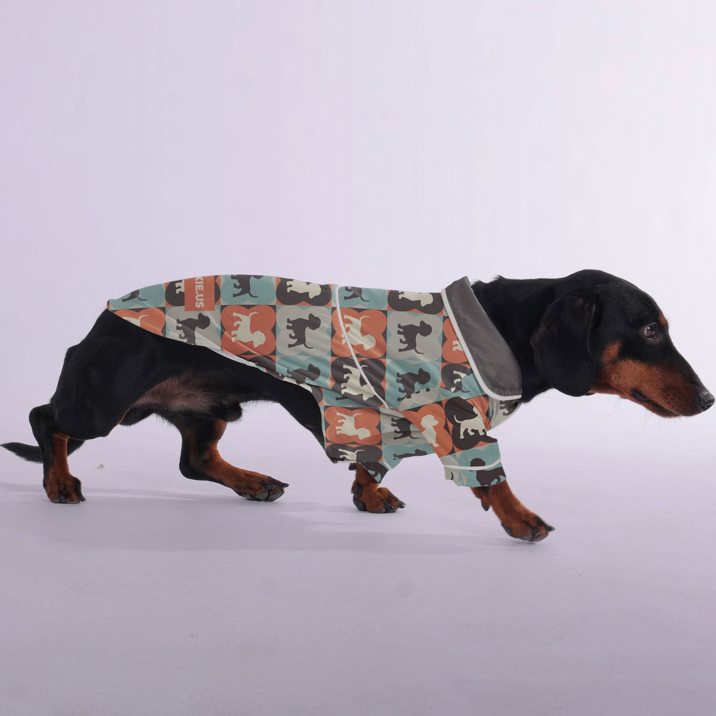 Salsi - Pajamas for Dachshund