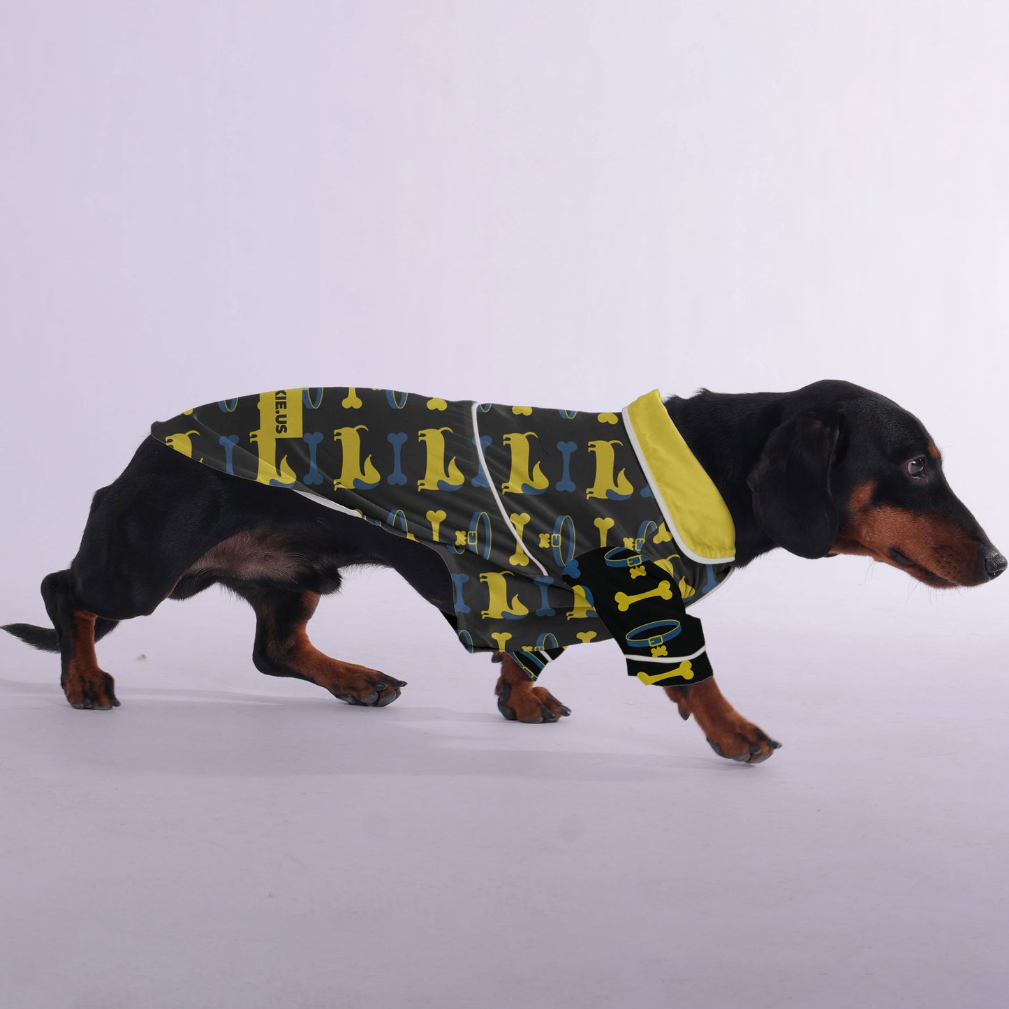 Moritz - Pajamas for Dachshund