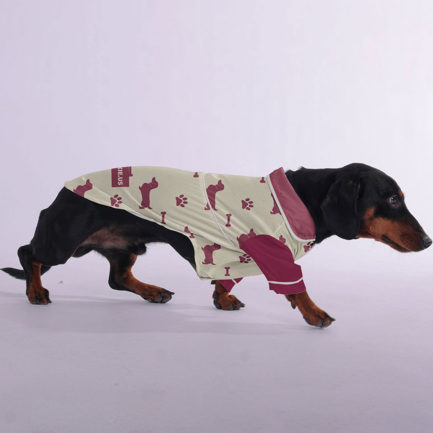Winston - Pajamas for Dachshund