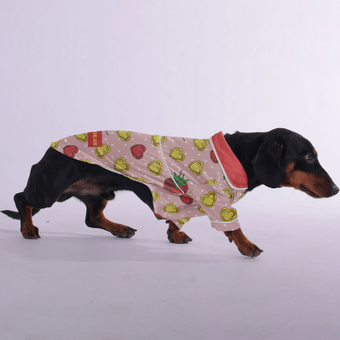 Richard - Pajamas for Dachshund