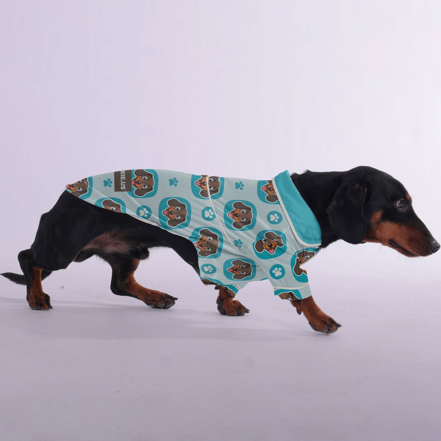 Martha - Pajamas for Dachshund