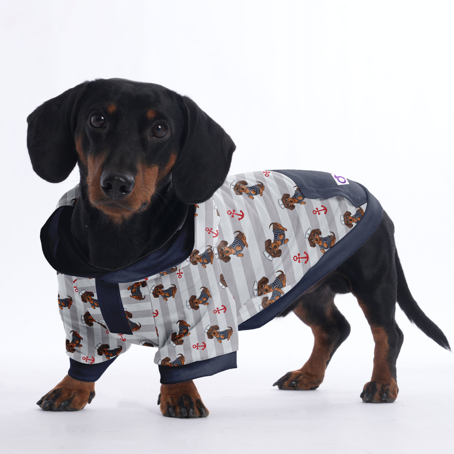 Ludwig - Hoodies for Dachshunds
