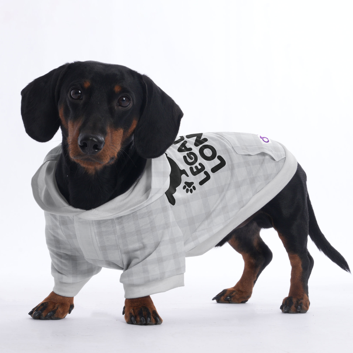 LEGALLY LONG - Hoodies for Dachshunds