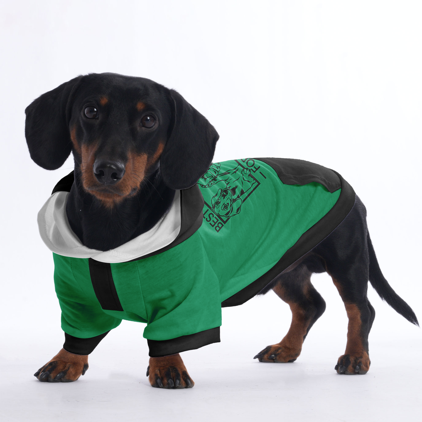 Teddy - Hoodies for Dachshunds
