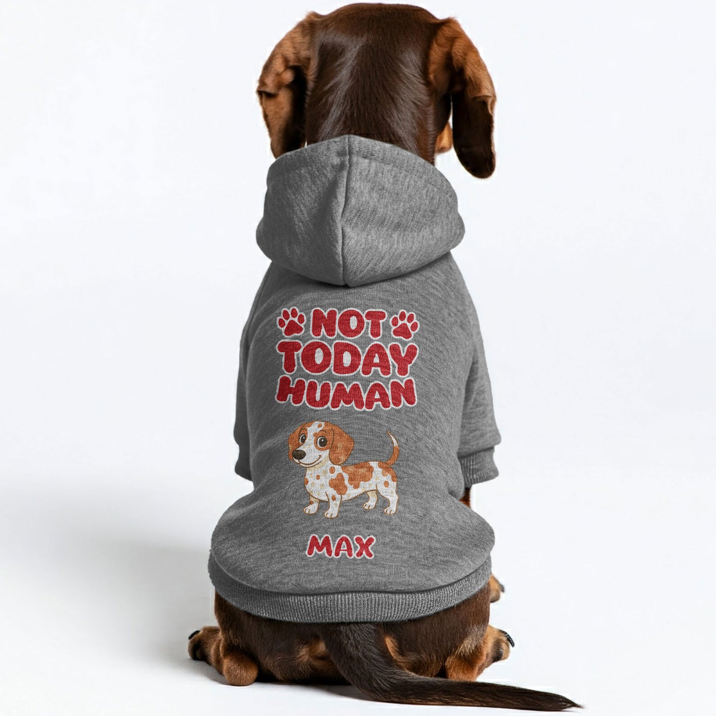 Not Today – Personalized Dachshund Hoodies with Your Doxie’s Name & Clipart – Stylish, Cozy & Made from Premium 100% Cotton