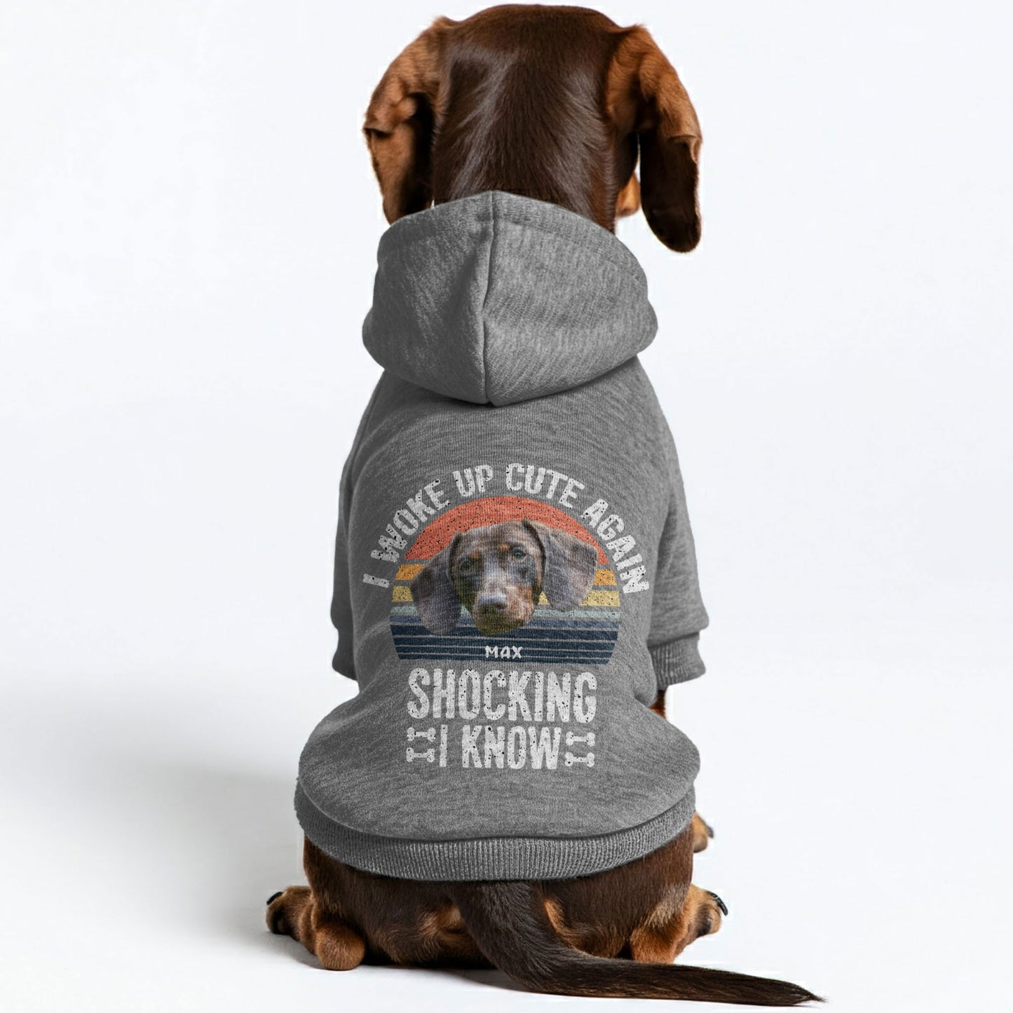 I Woke Up – Personalized Dachshund Hoodies with Your Doxie’s Name & Photo – Stylish, Cozy & Made from Premium 100% Cotton