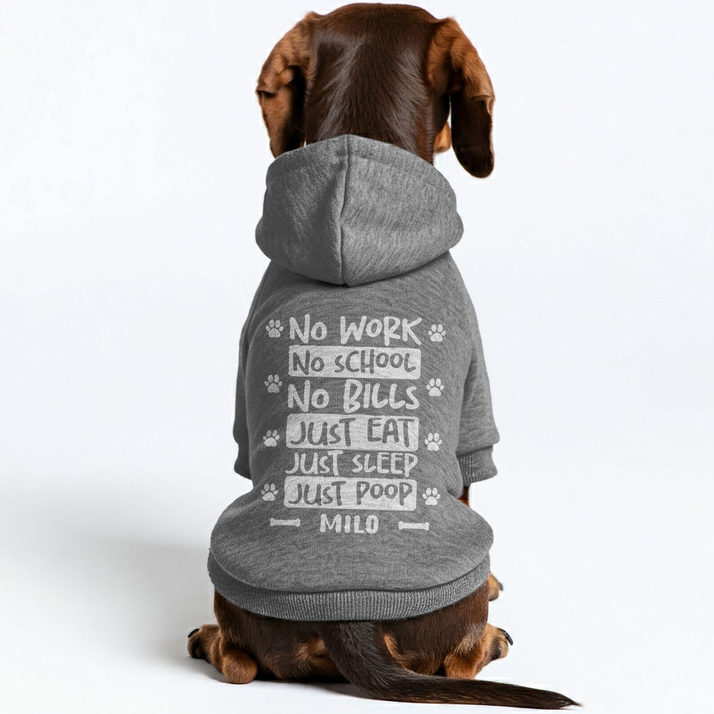 No school - Personalized Dachshund Hoodies with your doxie name – Stylish, Cozy, and Premium 100% Cotton