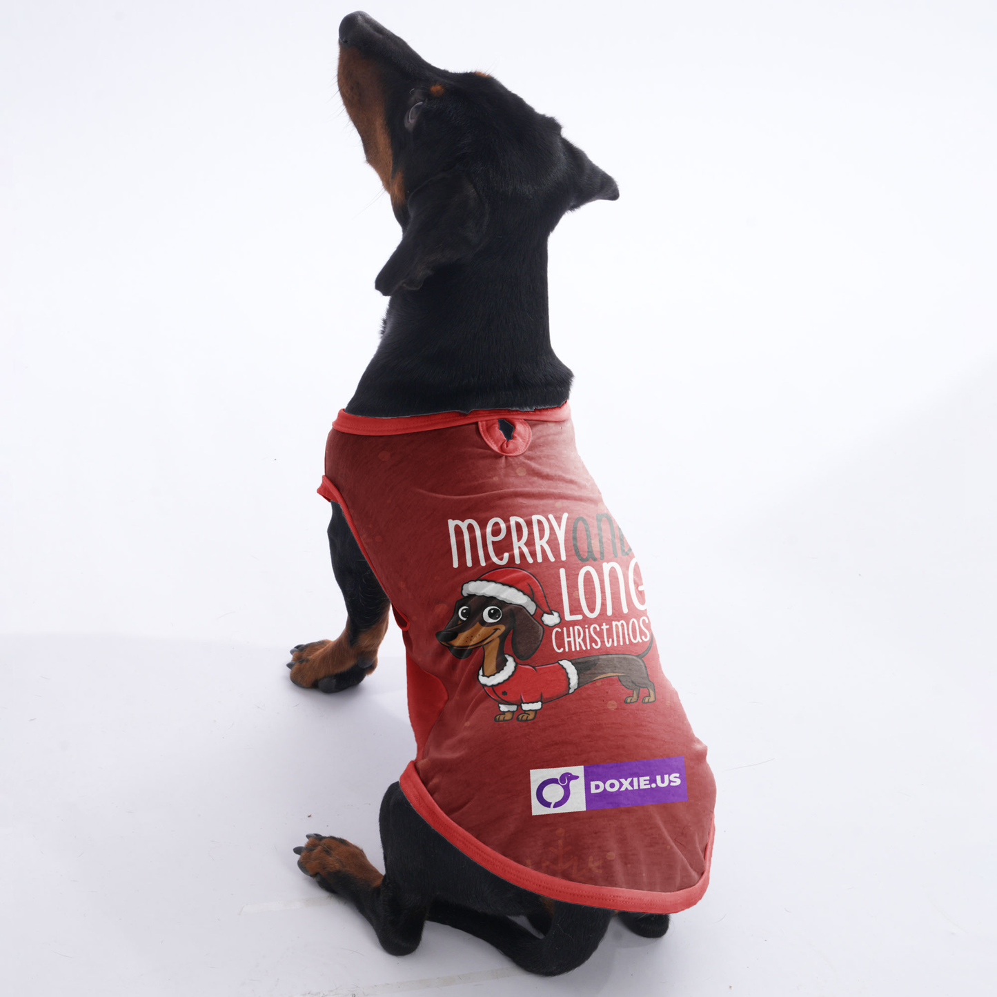 Merry and Long christmas - Shirt for Dachshunds