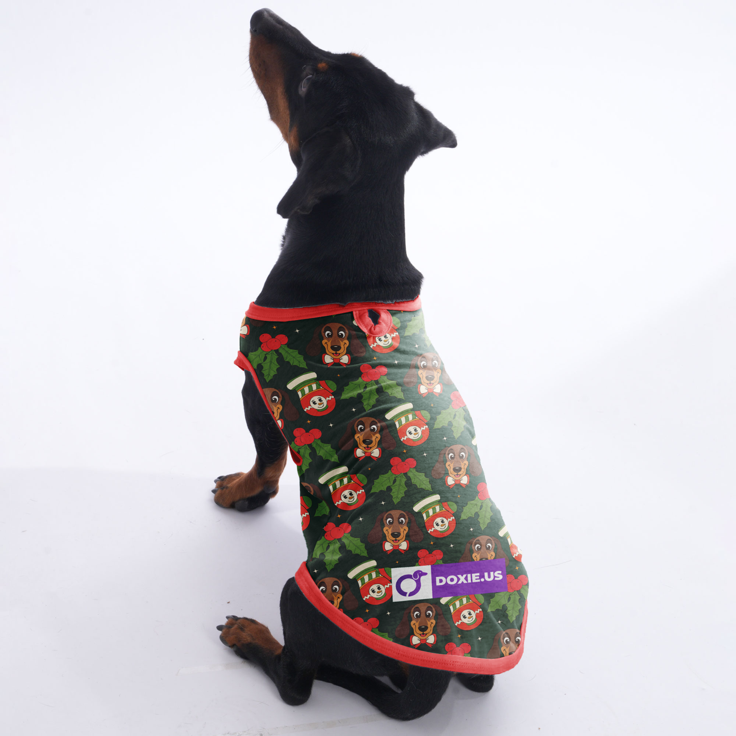 Dexter - Shirt for Dachshunds
