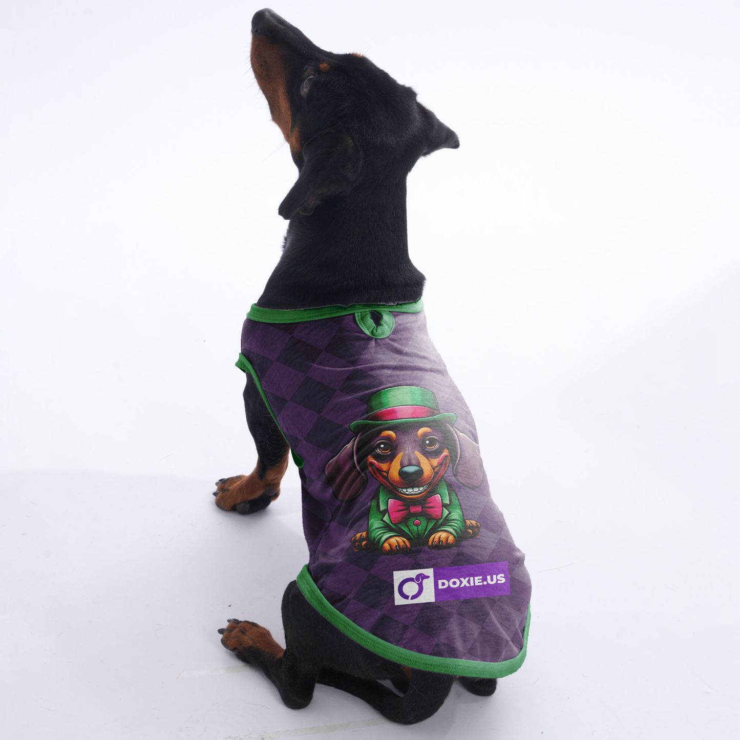 Pickle - Shirt for Dachshunds