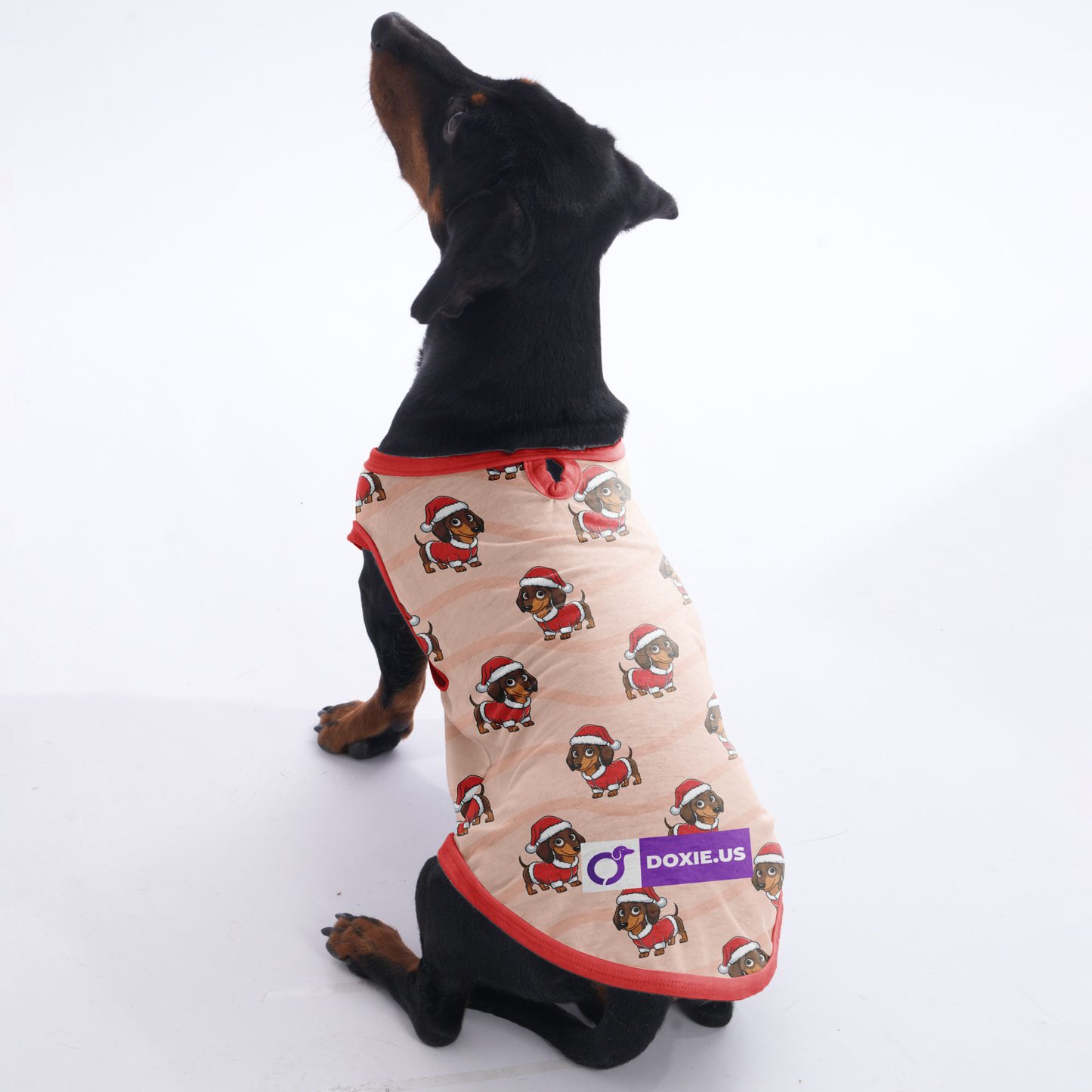 Mochi - Shirt for Dachshunds