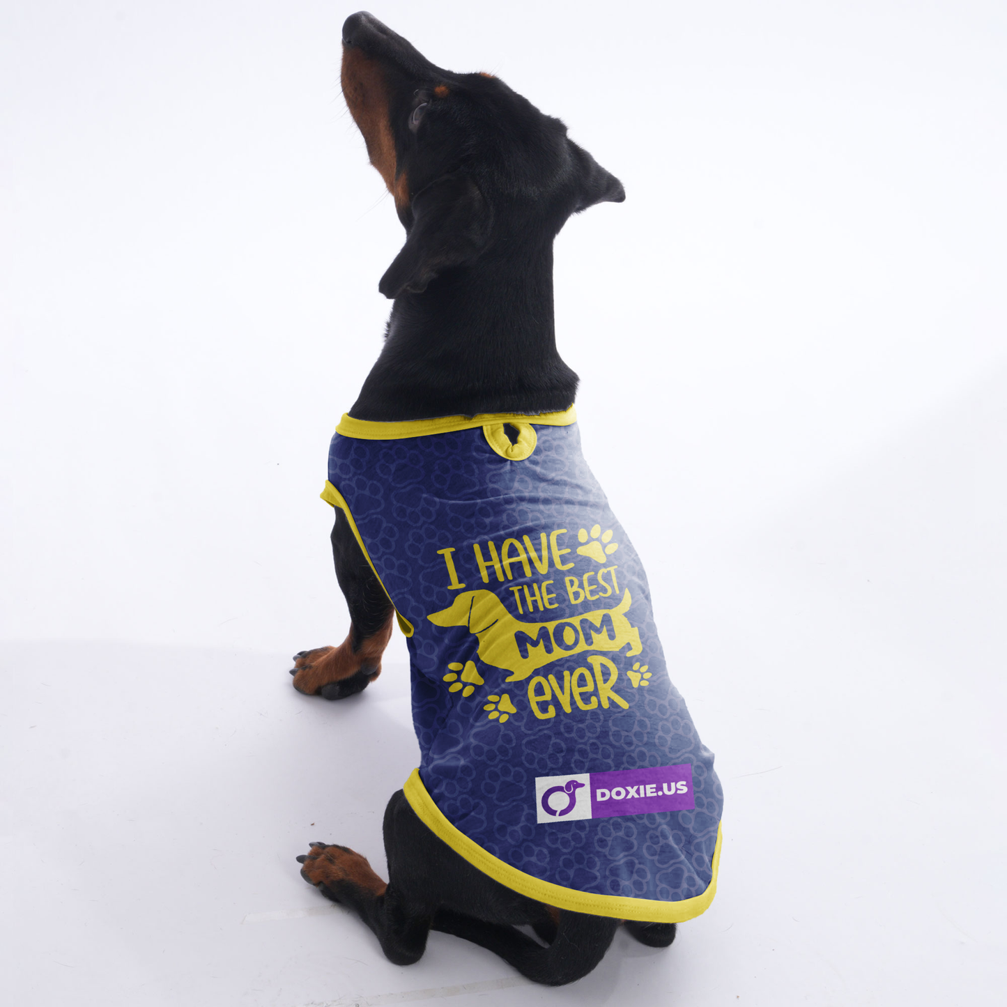 I have the best mom ever - Shirt for Dachshunds
