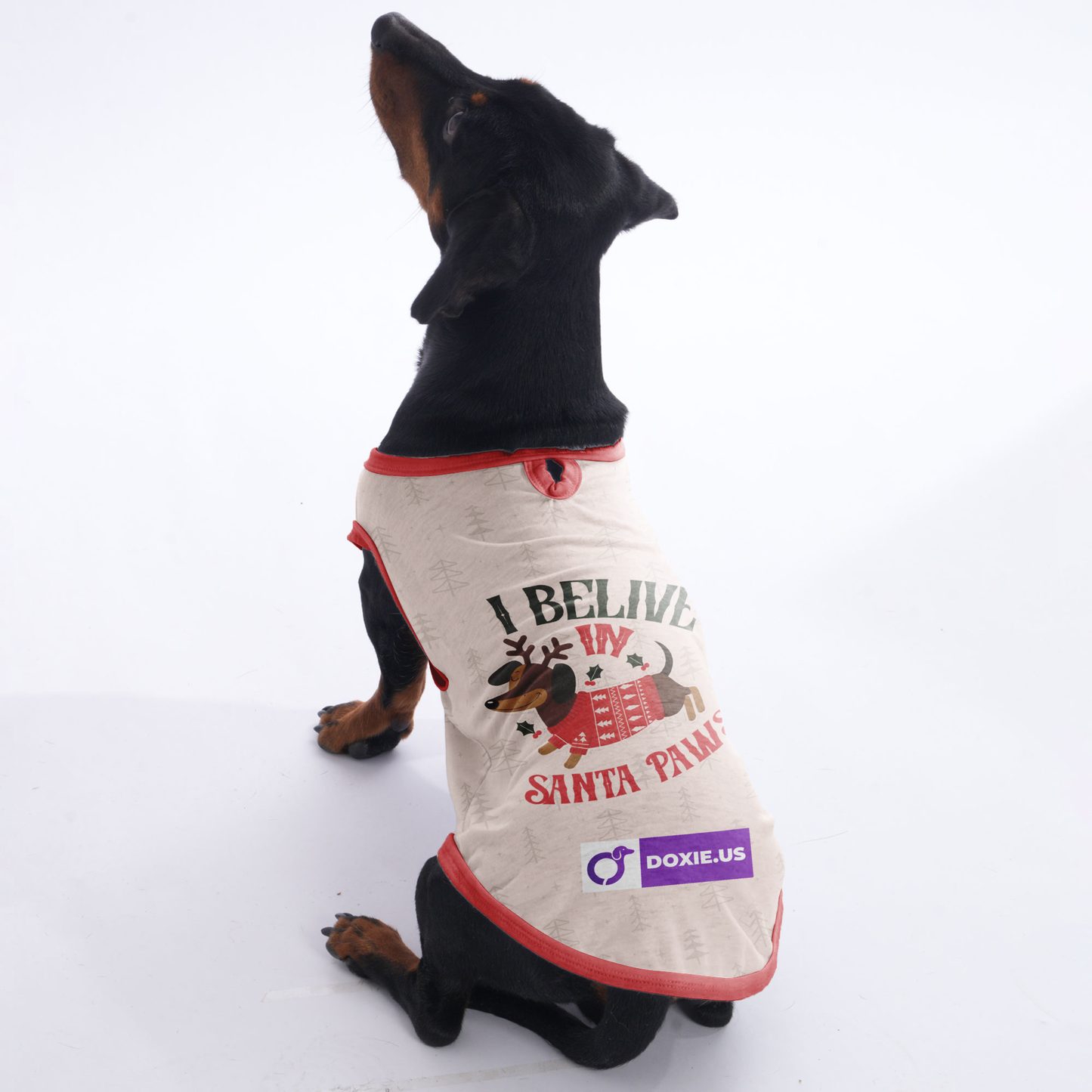 I belive in santa paws - Shirt for Dachshunds