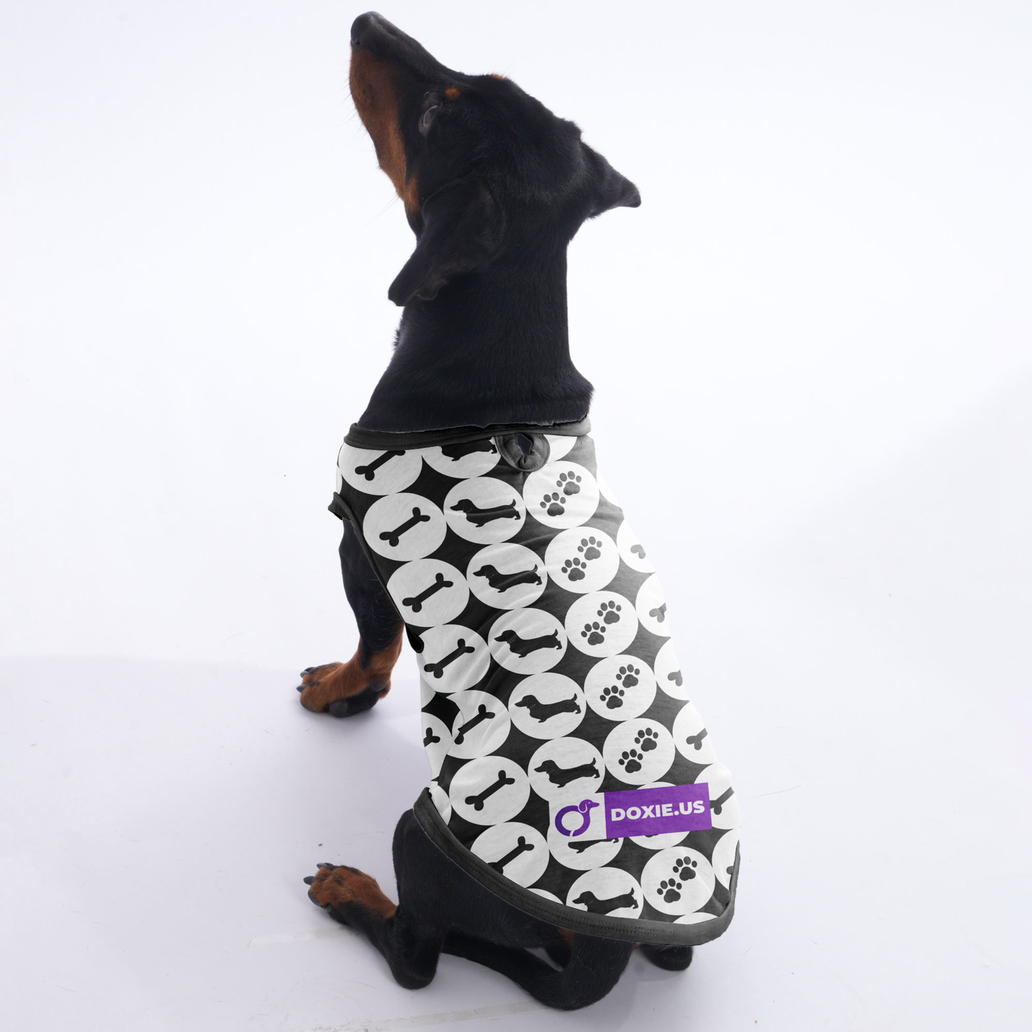Jack - Shirt for Dachshunds