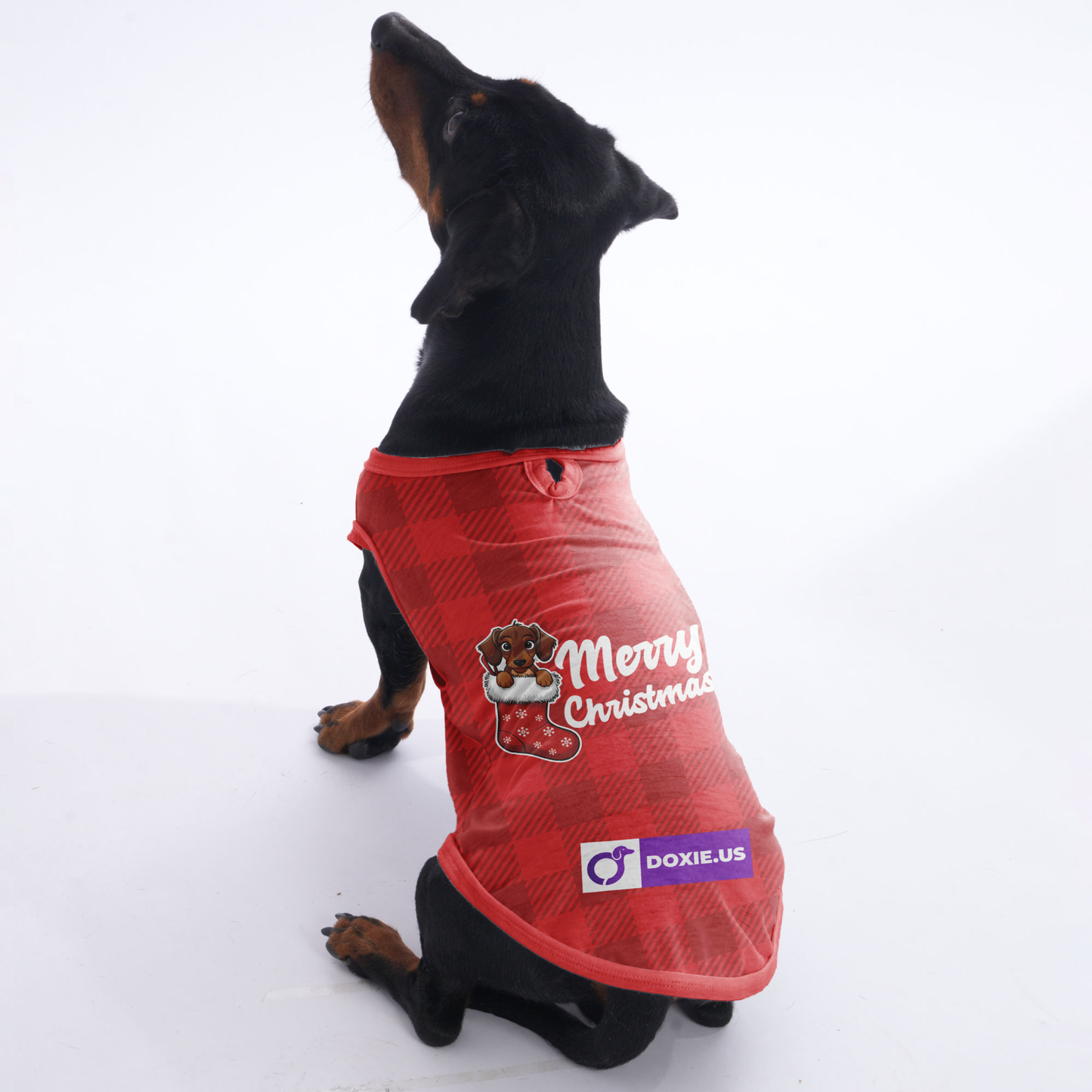 Merry Christmas - Shirt for Dachshunds