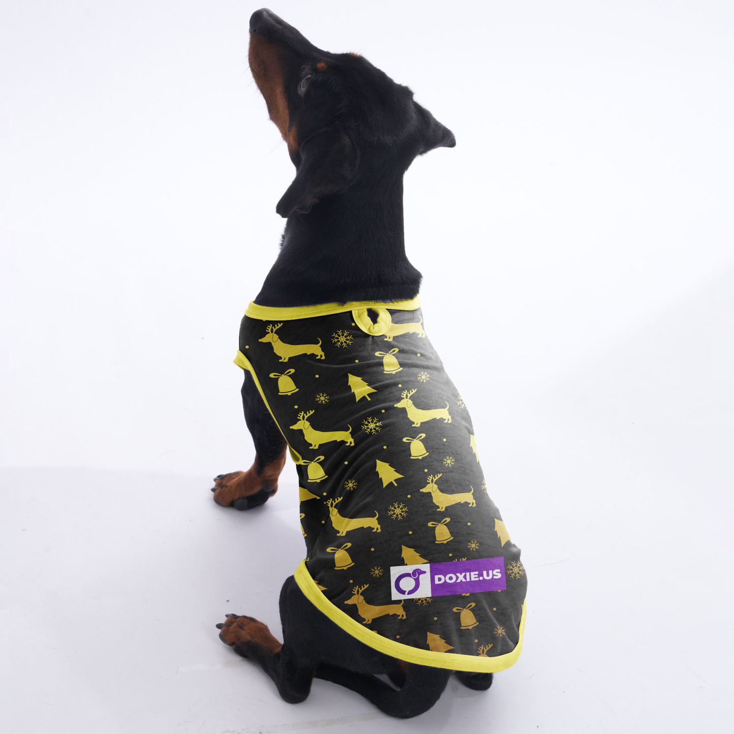 Travis - Shirt for Dachshunds