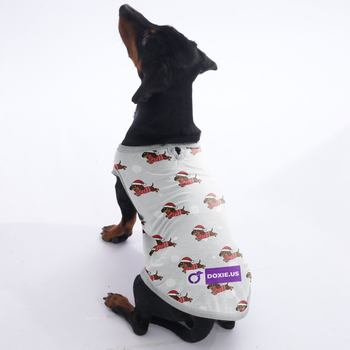 Mabel - Shirt for Dachshunds
