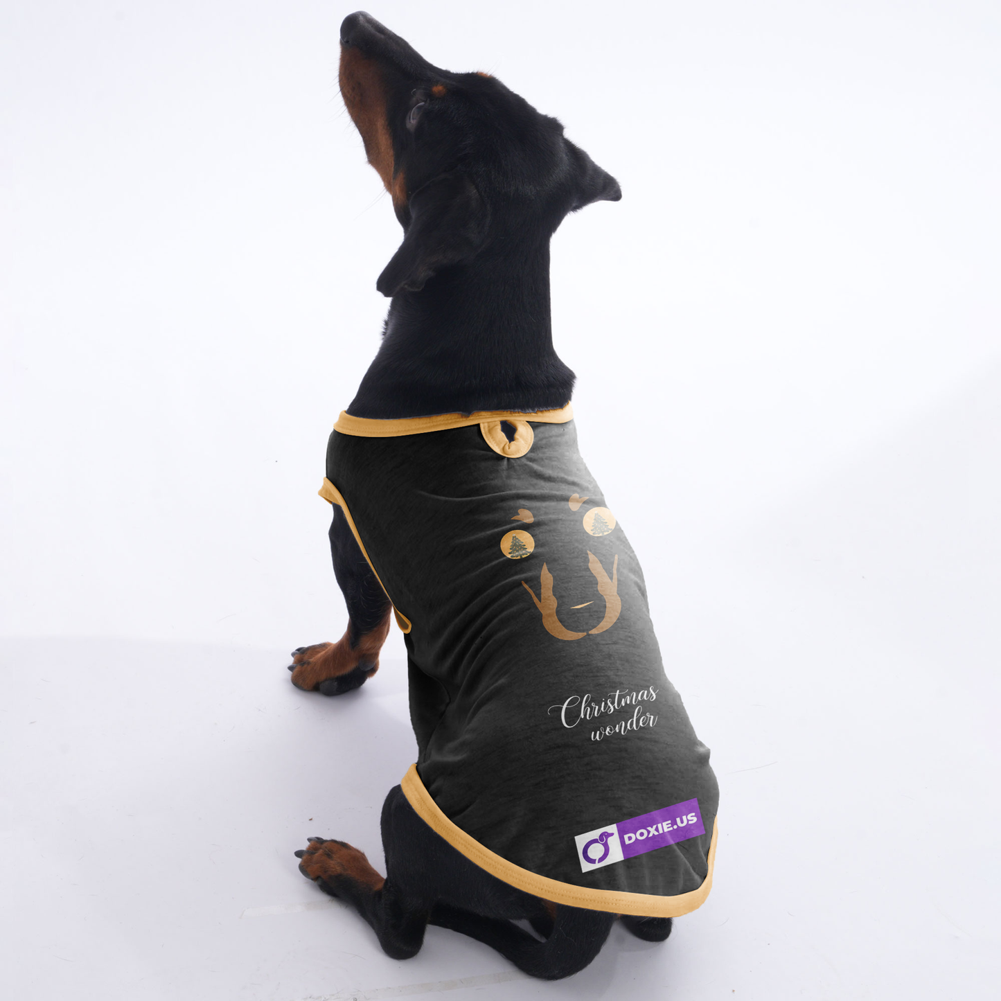 Bailey - Shirt for Dachshunds