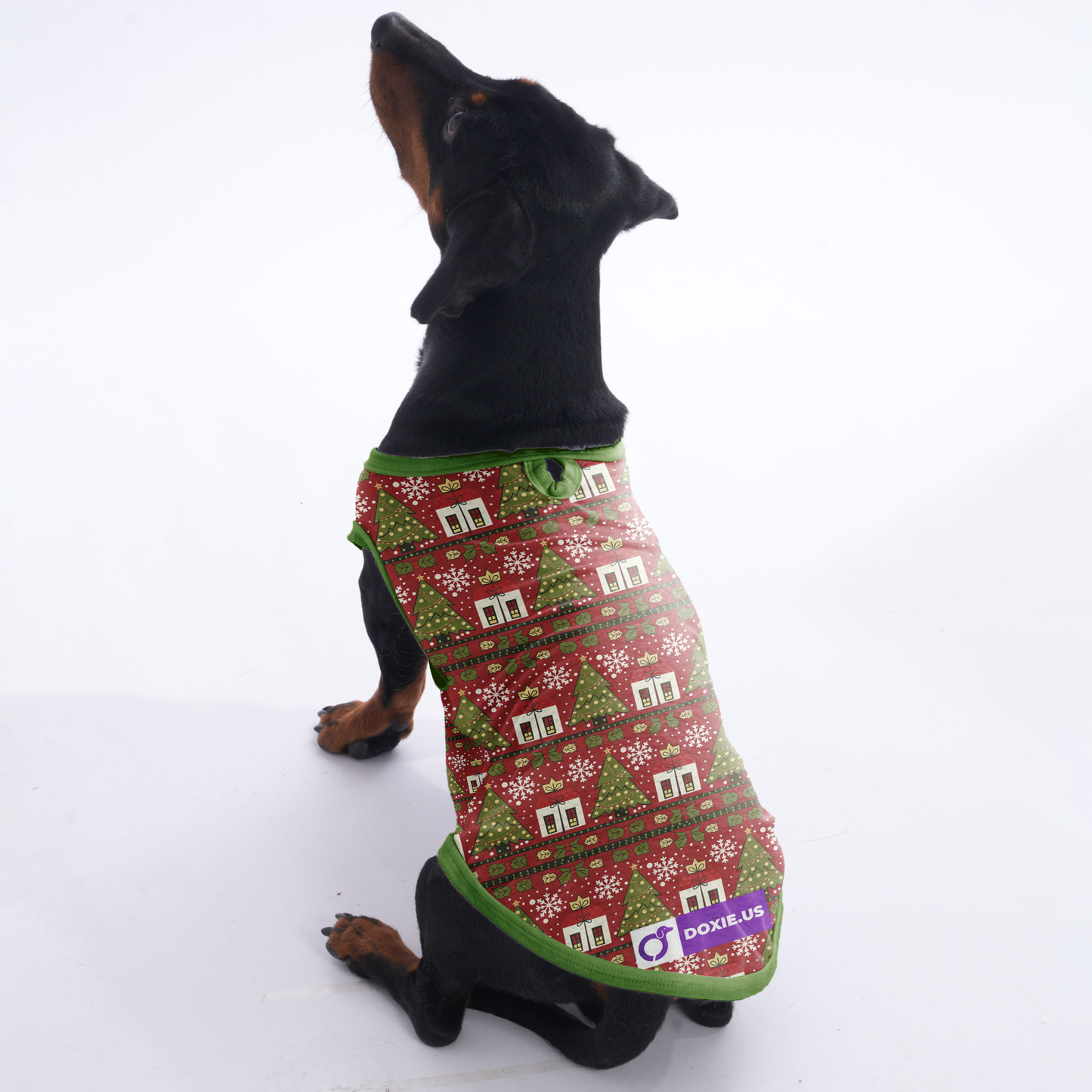Cooper - Shirt for Dachshunds