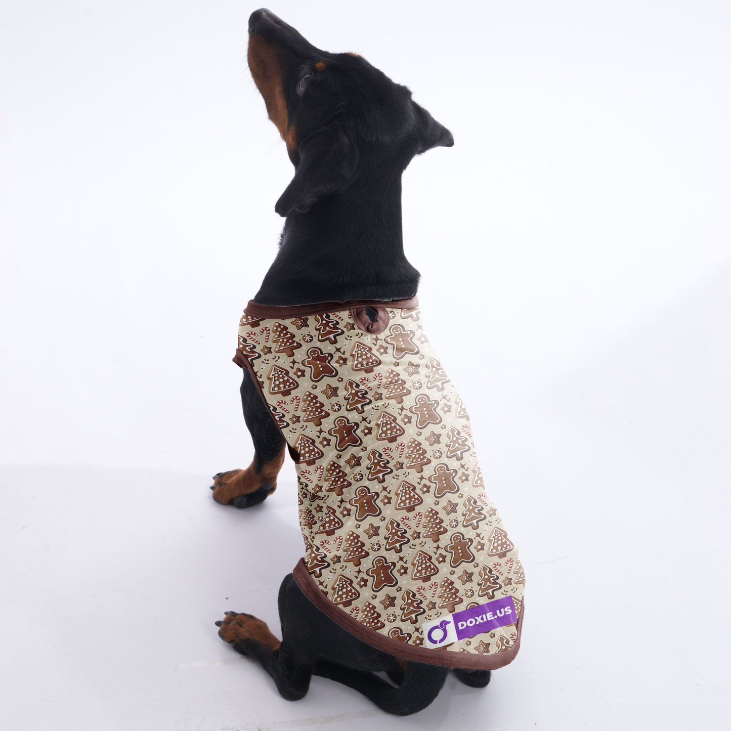 Molly - Shirt for Dachshunds