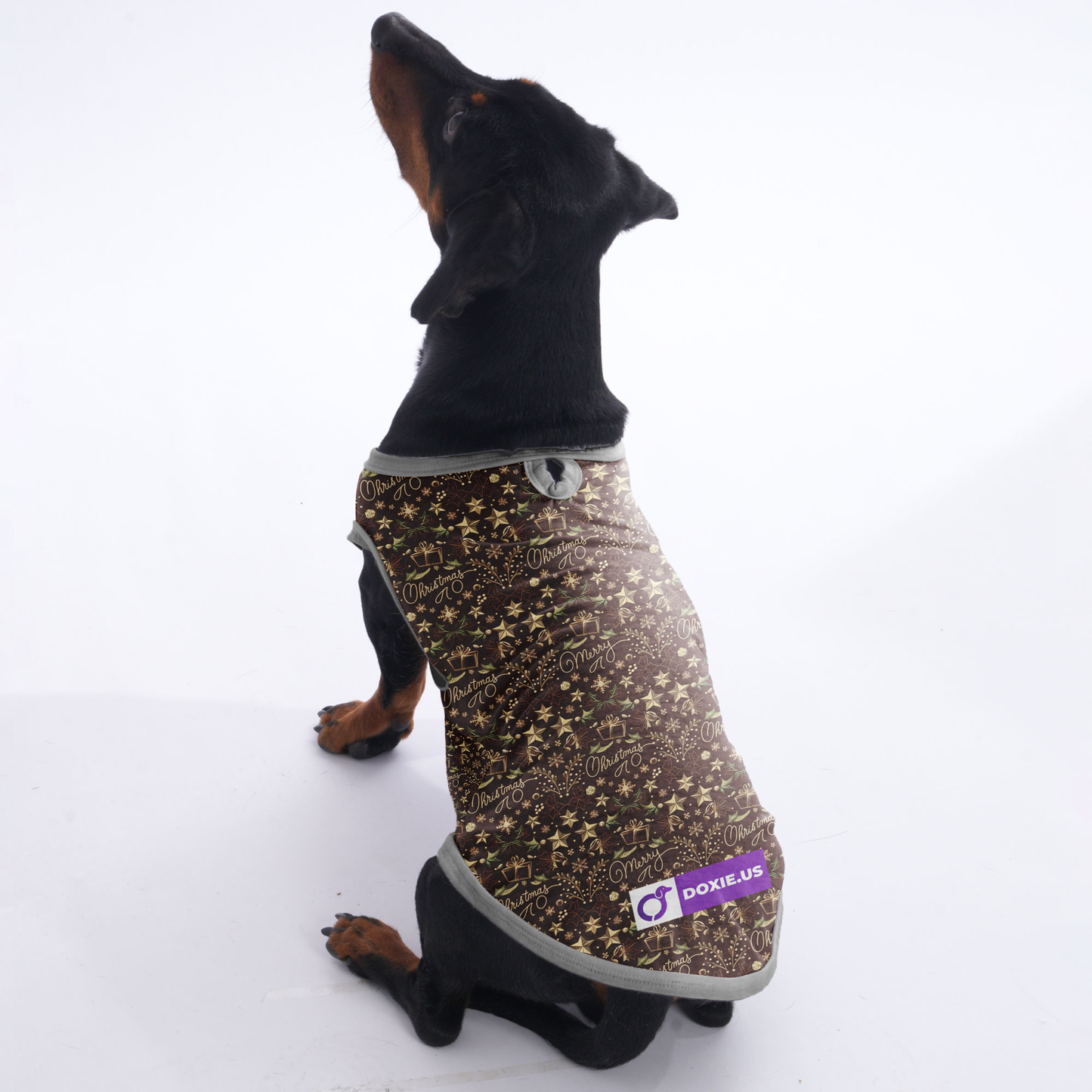 Lola - Shirt for Dachshunds