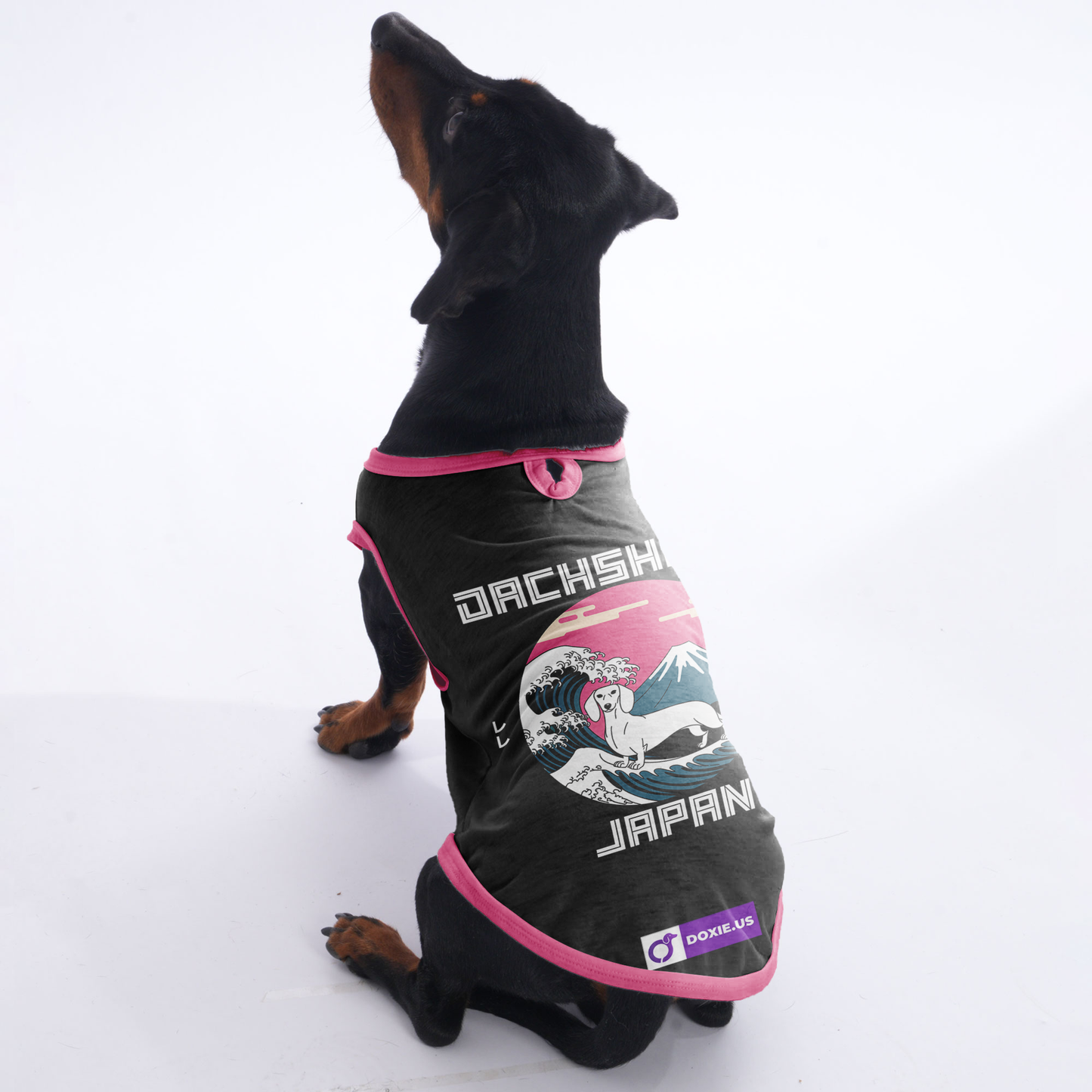 Teddy - Shirt for Dachshunds
