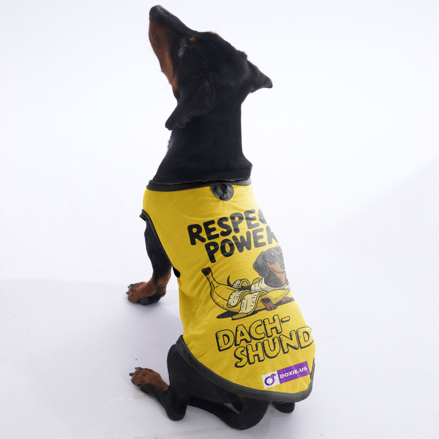 Bear - Shirt for Dachshunds