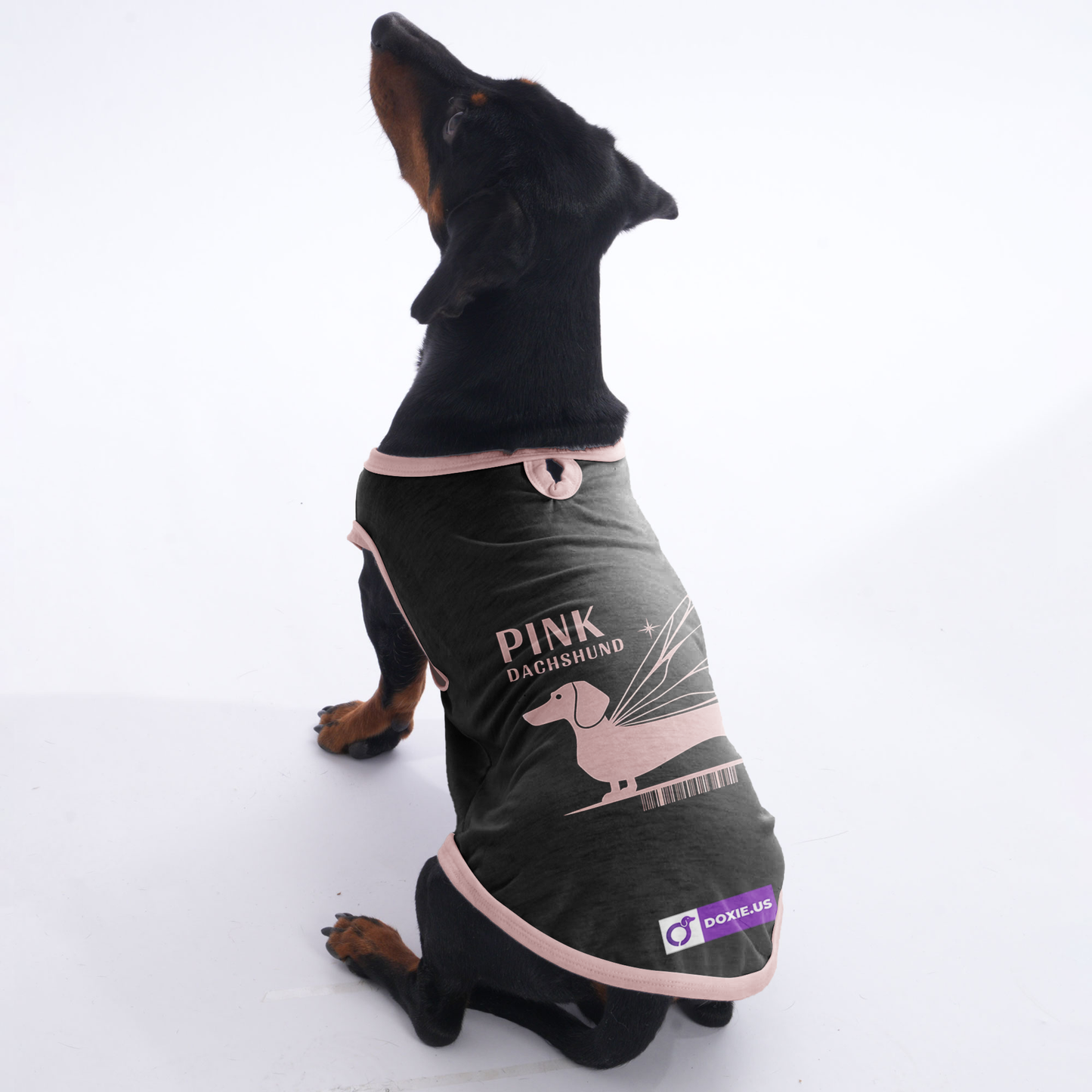 Chloe - Shirt for Dachshunds