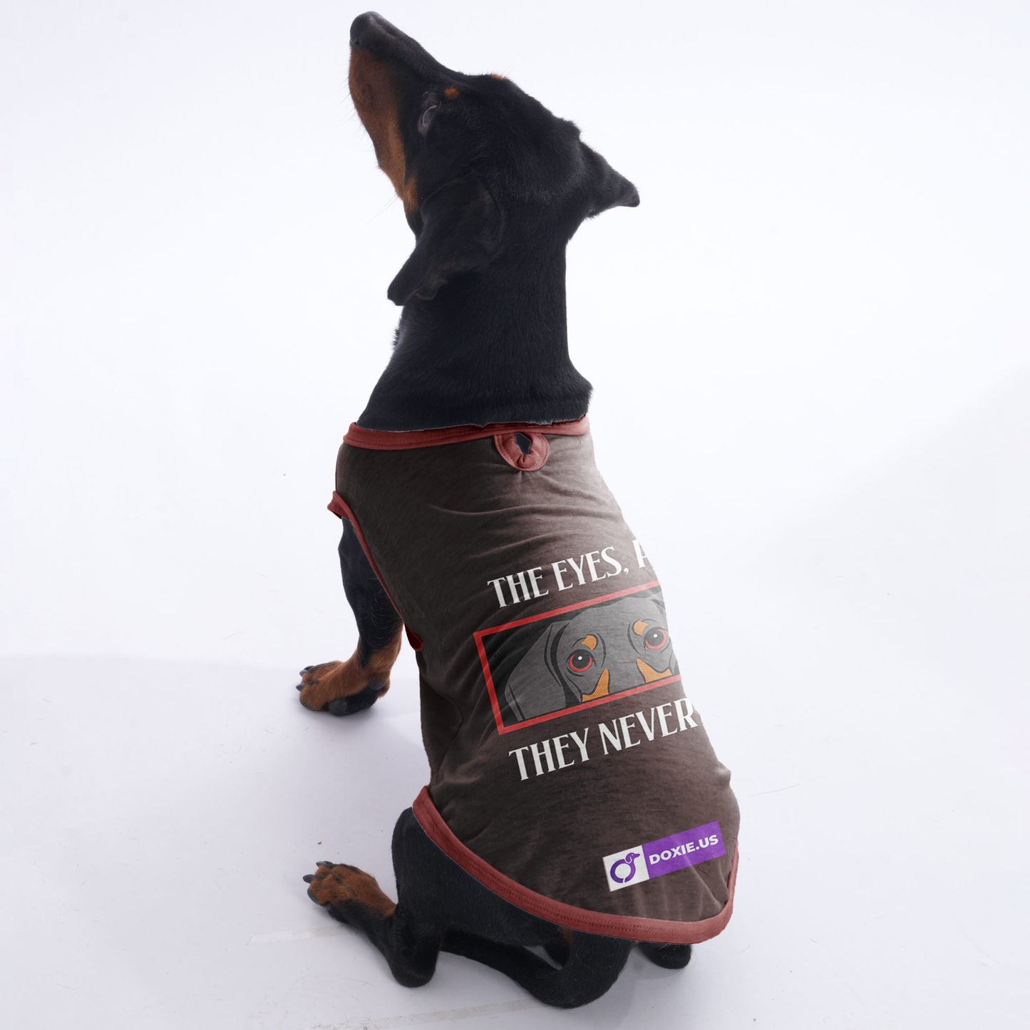 Maggie - Shirt for Dachshunds