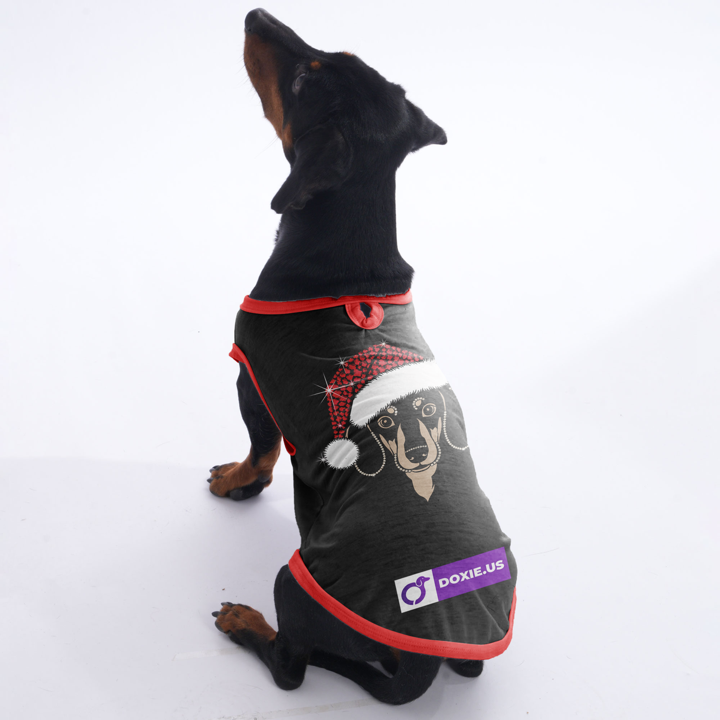 Luna - Shirt for Dachshunds