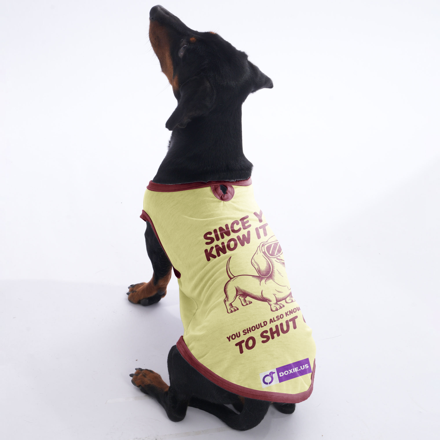 Zoey - Shirt for Dachshunds