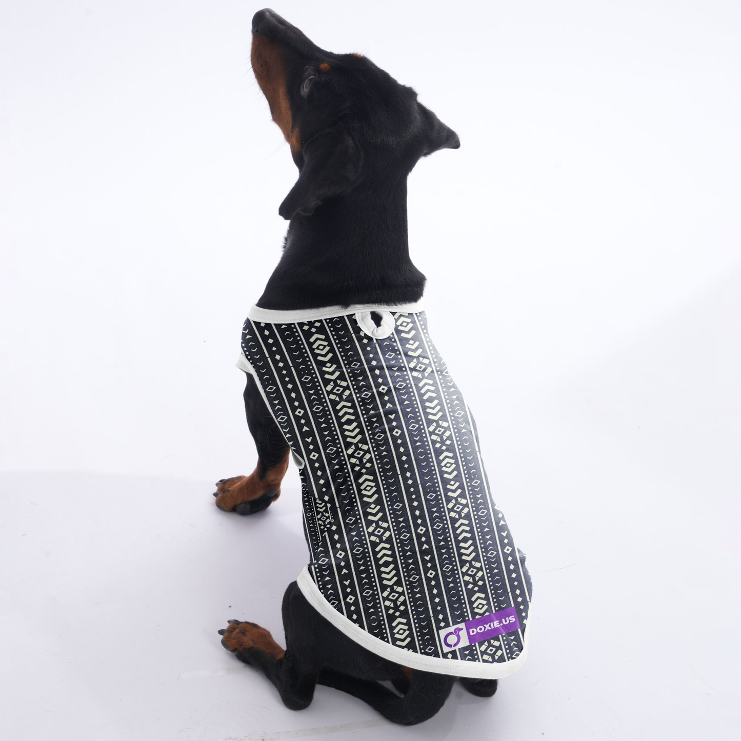 Ellie - Shirt for Dachshunds