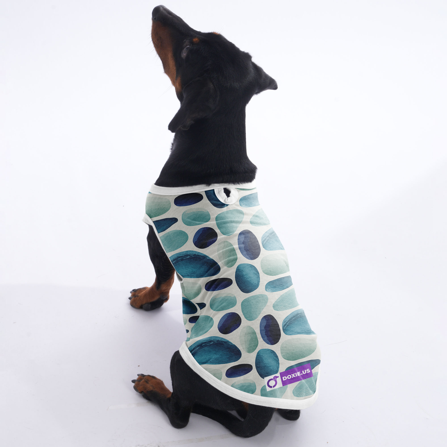 Koda - Shirt for Dachshunds