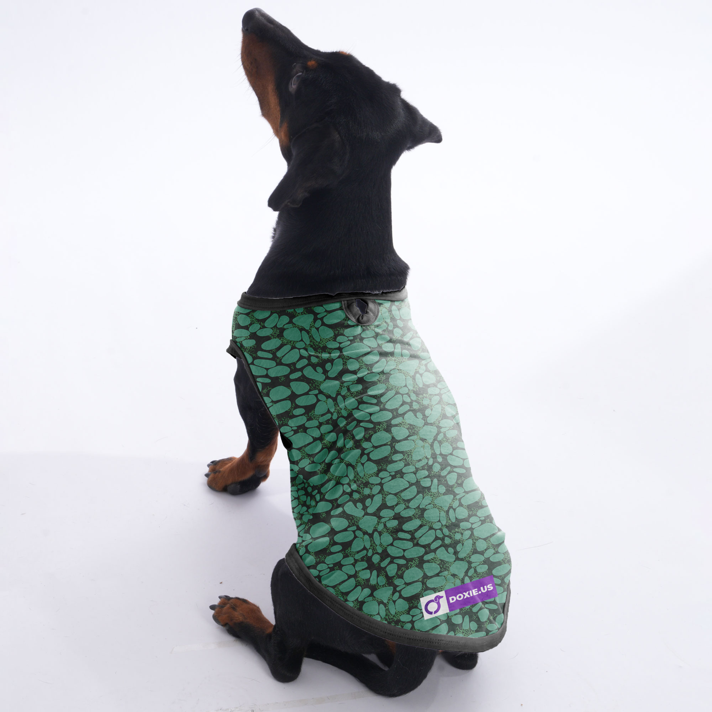 Nala - Shirt for Dachshunds