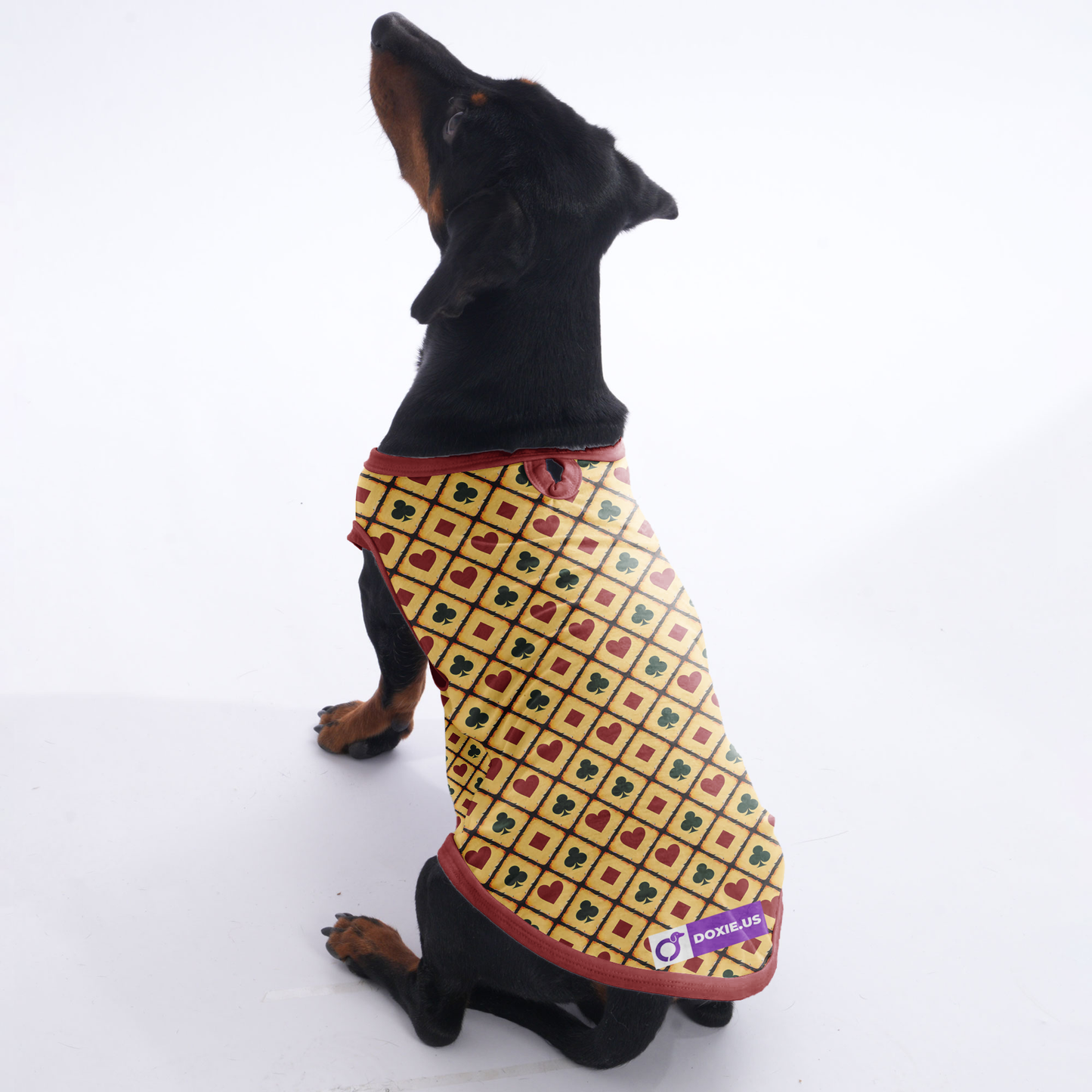 Rosie - Shirt for Dachshunds