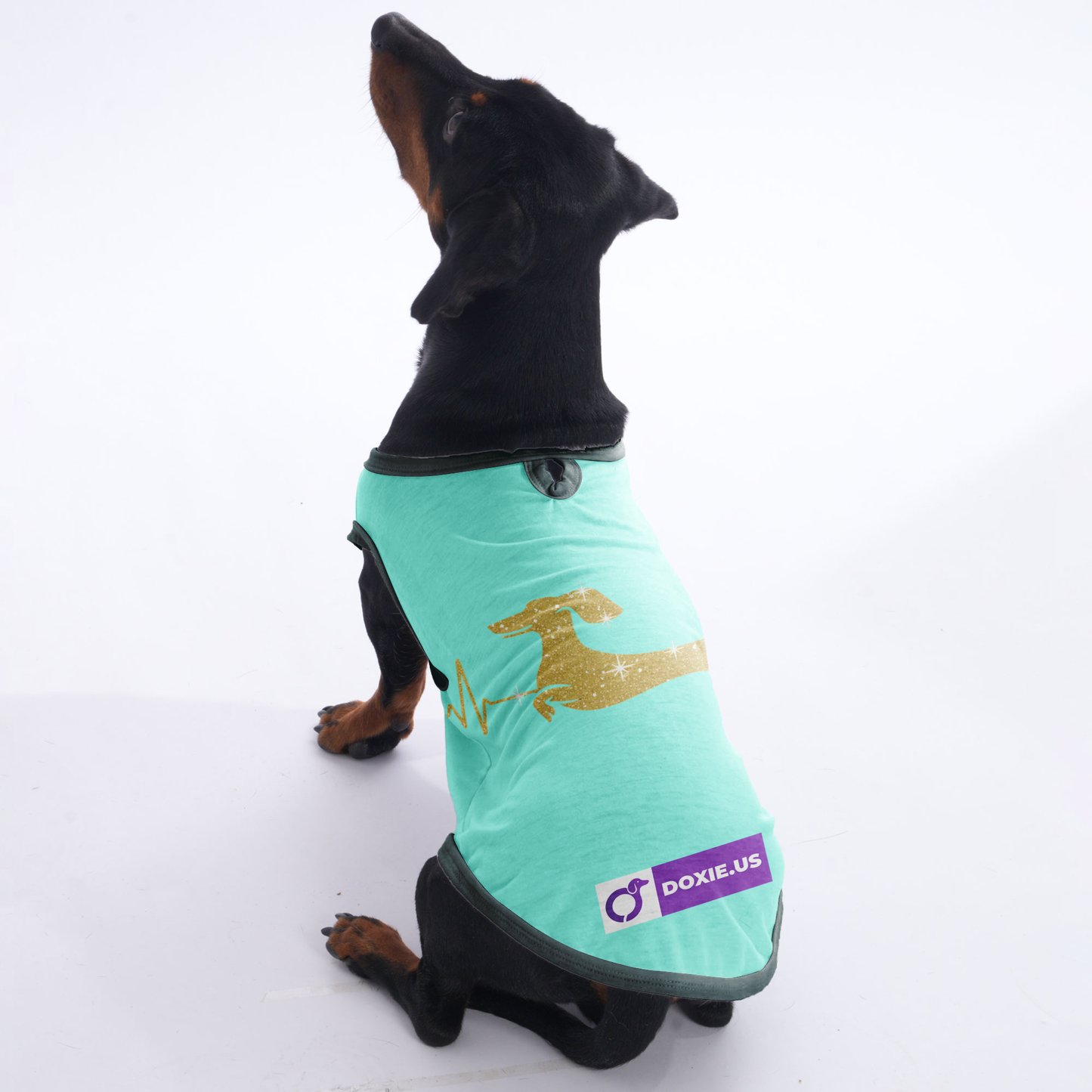 Max - Shirt for Dachshunds
