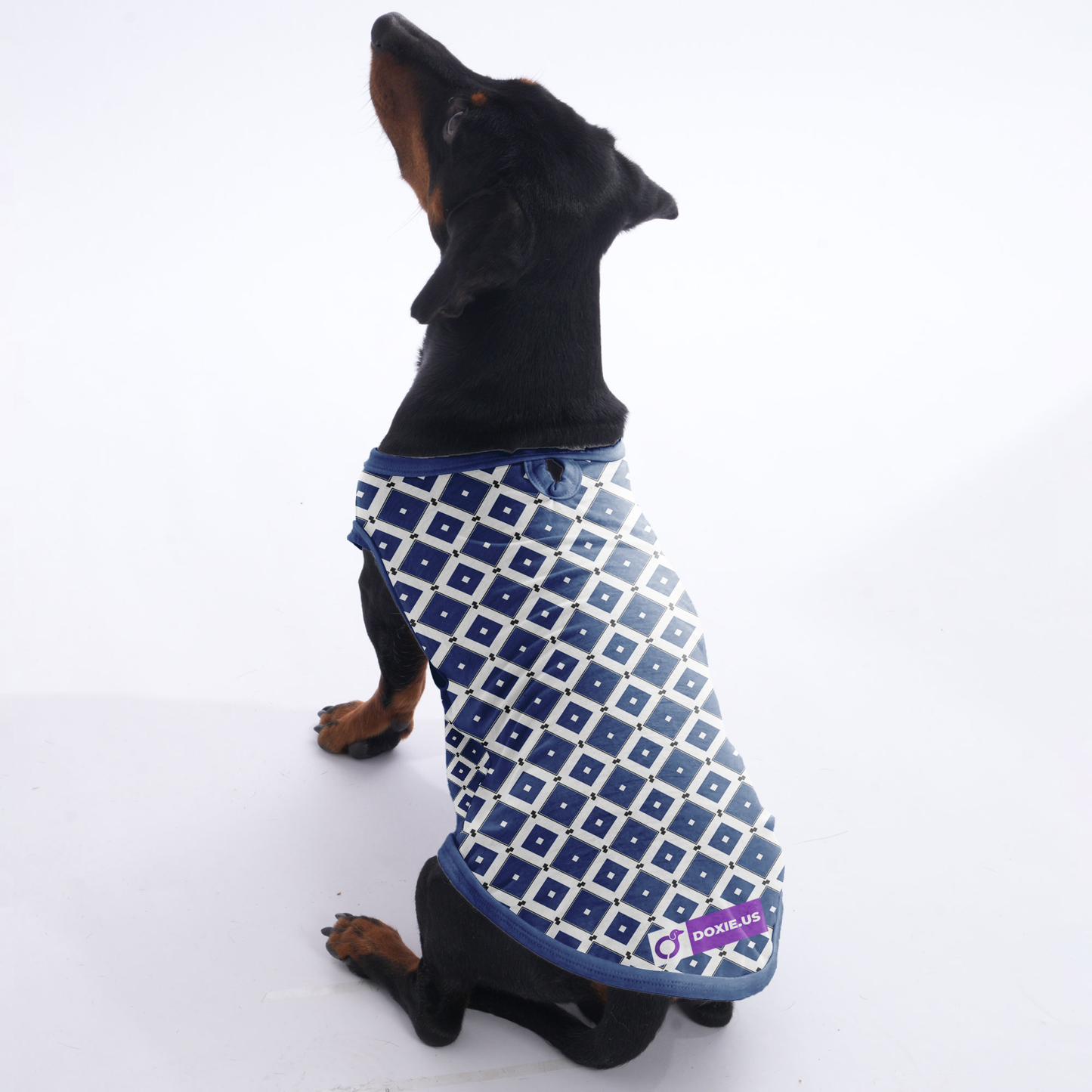 Willow - Shirt for Dachshunds