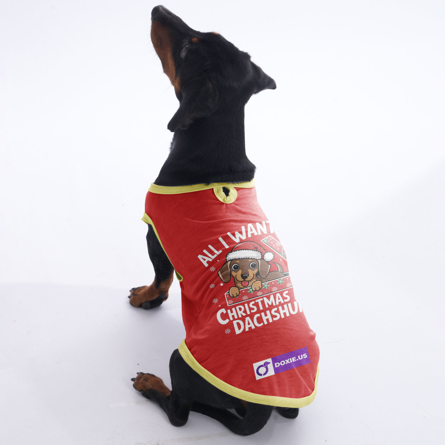 Daisy - Shirt for Dachshunds
