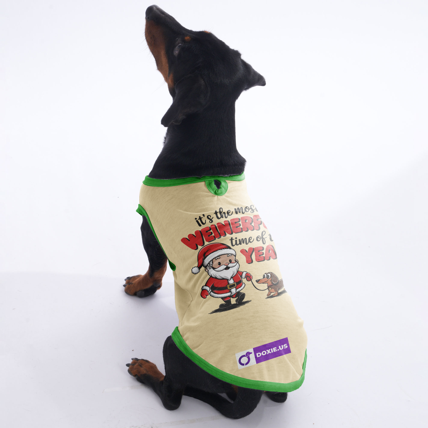 Charlie - Shirt for Dachshunds